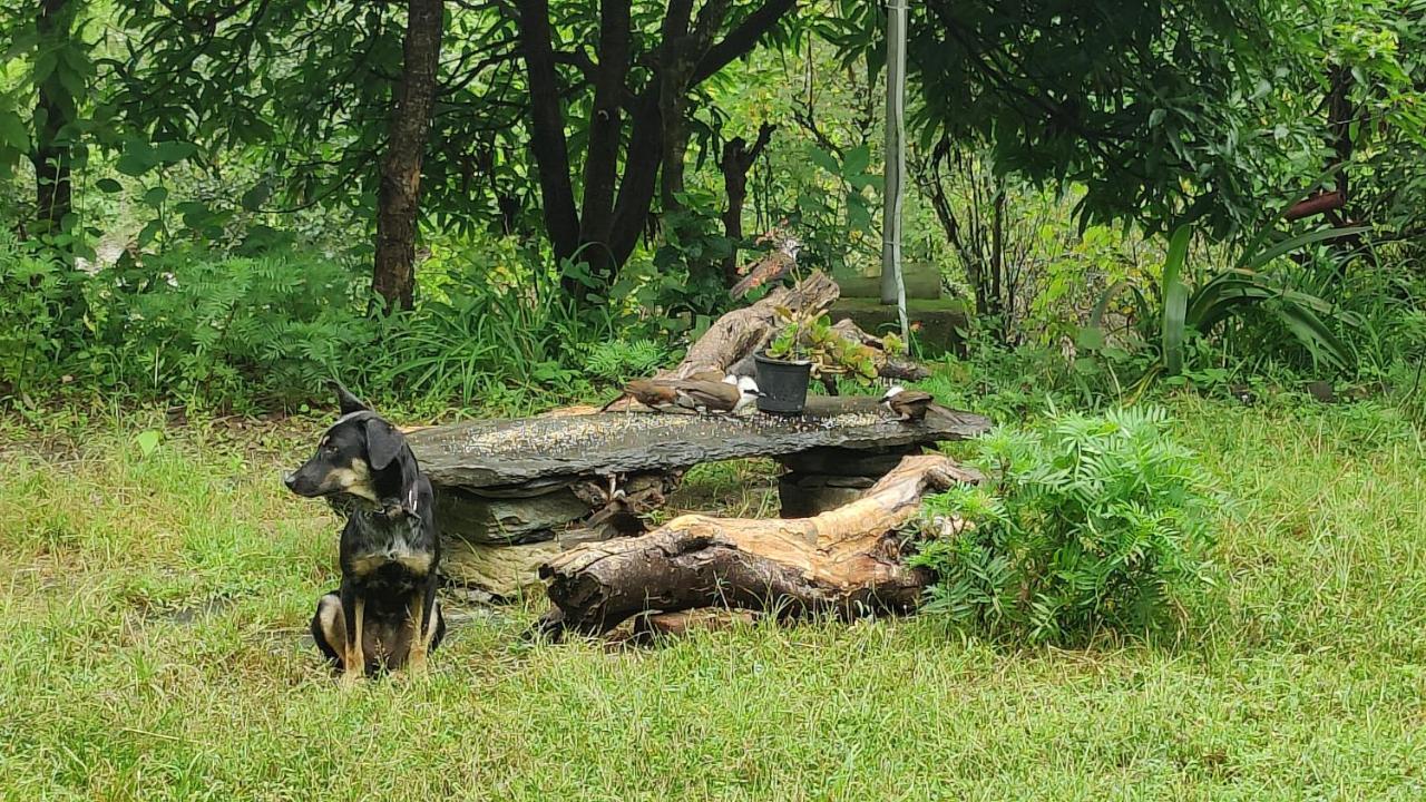 Hobo Huts By The Riverside Panuānaula Esterno foto