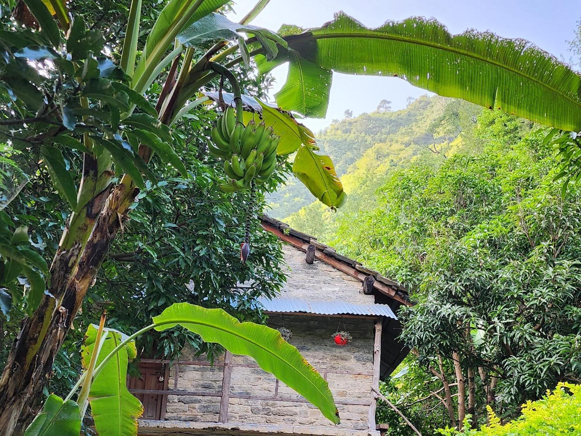 Hobo Huts By The Riverside Panuānaula Esterno foto